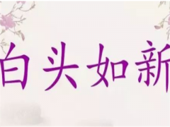 成语“白头如新”是什么意思？典故出自何处？