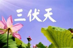 “三九天、三伏天”是如何确定的?