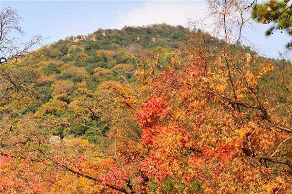 苏州名山天干山