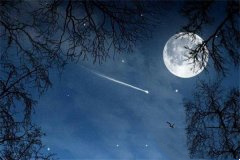 可怜九月初三夜全诗欣赏