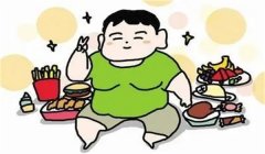 小儿肥胖症的标准与饮食管理要求