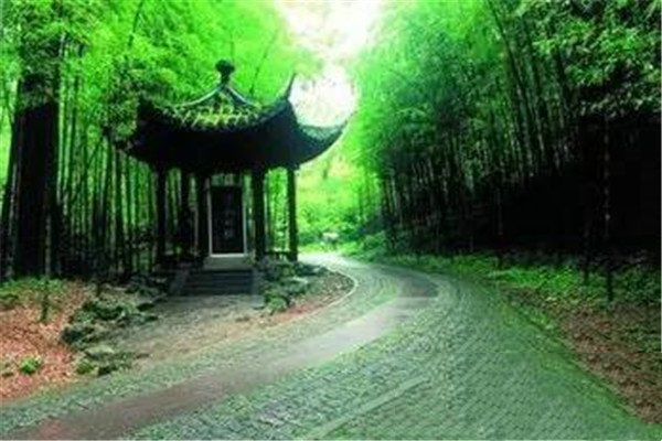 赏竹胜地