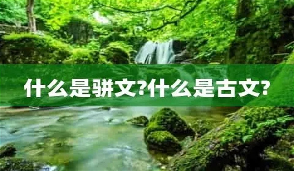 什么是骈文