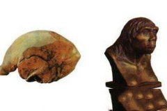 北京人头盖骨是谁最先发现的？