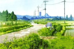 描写农村风景的句子与片段，真的很精彩