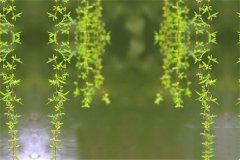 描写春天的歇后语有什么