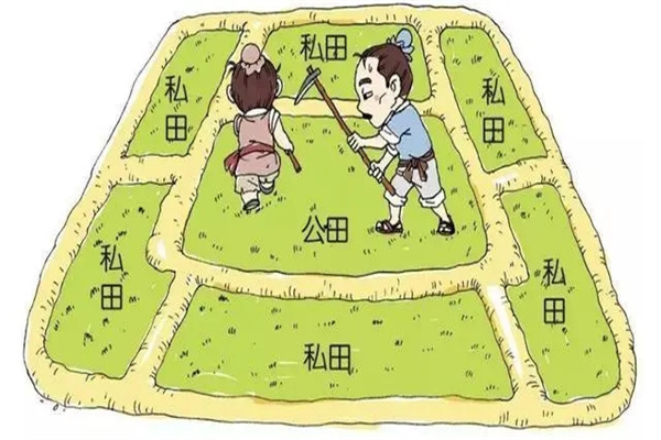 初税亩的基本内容