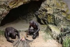 北京猿人的发现时间是什么时候，是谁发现的？