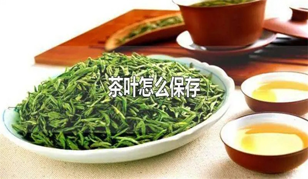 茶叶储存的最佳温度和湿度
