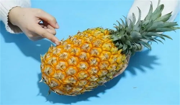 如何挑选菠萝