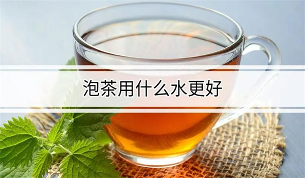 用哪种水泡茶更好
