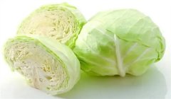包心菜的营养成分与保健功效