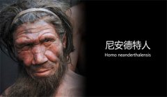尼安德特人灭绝的原因是什么 他们有哪些特征
