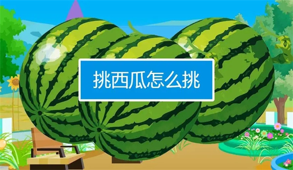 怎样挑选西瓜