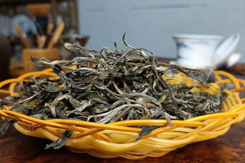 古树茶属于什么茶