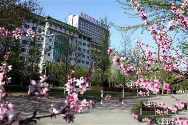 描写春天的校园