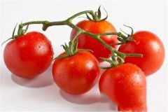 趣话西红柿的种植史，以前西红柿为什么叫狼桃