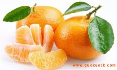 柑橘的营养价值与保健功效 柑橘的食用禁忌