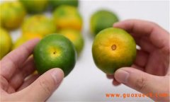 柑橘的选购要点，柑橘的食用禁忌问题