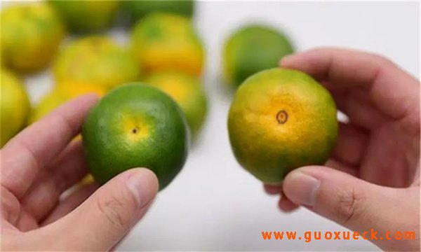 柑橘的选购方法