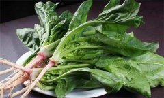 怎样去除菠菜中的草酸成分