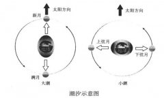 潮汐现象是什么引起的？