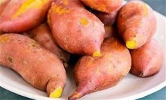 红薯原产于哪里，最初是由谁带入中国的？
