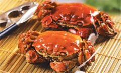 吃螃蟹不能吃什么 食蟹的讲究有哪些？