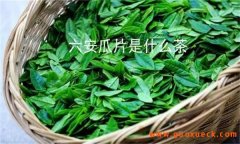 六安瓜片是什么茶，瓜片的“扳片”有何作用？