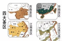 中国茶区分为哪四大区？