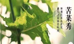 小满节气吃什么？小满养生食谱推荐