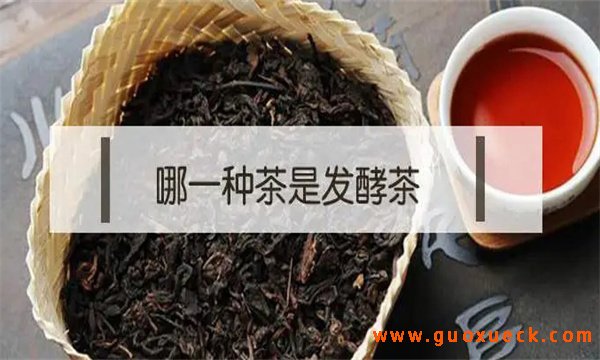 发酵茶和不发酵茶有什么区别