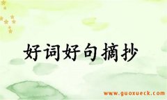 摘抄好词好句的正确做法是怎样的？