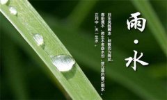 雨水节气如何养生——重点是防湿邪