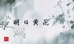 “明日黄花”是什么意思 为什么不是绿花、红花