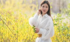 为什么叫“黄花大闺女”而不叫红花或别的什么