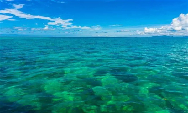 地球上最大和最小的海分别是什么海