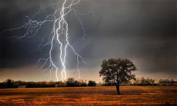 地球上那些天天下雨地方